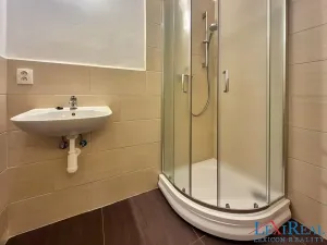 Pronájem bytu 1+1, Praha - Podolí, Podolská, 36 m2