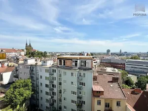 Pronájem bytu 1+1, Brno, Pellicova, 35 m2