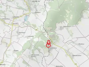 Prodej lesa, Bohutice, 1247 m2