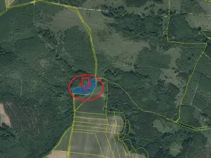 Prodej lesa, Sulice, 4719 m2
