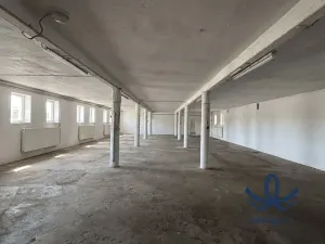 Pronájem skladu, Všejany, 253 m2