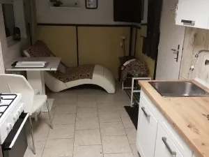 Pronájem bytu 1+1, Brno - Holásky, 40 m2