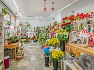Prodej komerční nemovitosti, Orlová, Osvobození, 62 m2