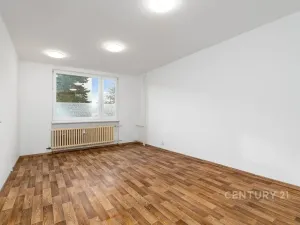 Prodej bytu 1+1, Děčín, Růžová, 35 m2