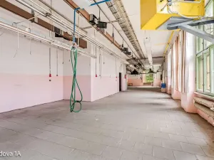 Pronájem komerční nemovitosti, Děčín, Rudolfova, 5199 m2