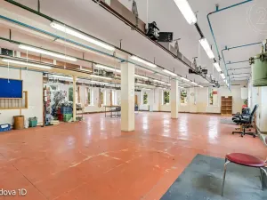 Pronájem komerční nemovitosti, Děčín, Rudolfova, 5199 m2