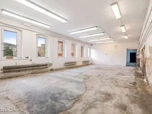 Pronájem komerční nemovitosti, Děčín, Rudolfova, 5199 m2