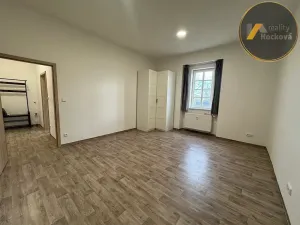 Pronájem bytu 1+1, Mělník, Bezručova, 40 m2