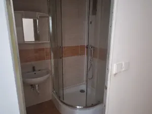 Pronájem bytu 3+1, Teplice, Bohosudovská, 55 m2