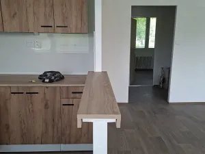 Pronájem bytu 3+1, Teplice, Bohosudovská, 55 m2