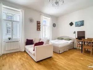 Prodej bytu 1+kk, Praha - Karlín, Vítkova, 51 m2