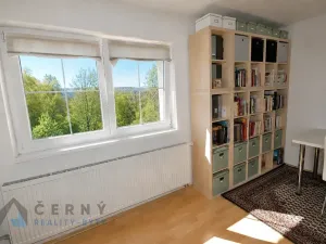 Prodej bytu 1+kk, Liberec, U Sadu, 29 m2