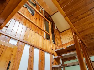 Prodej chaty, Choceň, 60 m2
