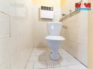 Prodej bytu 5+1, Cheb - Tršnice, 100 m2