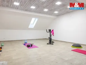 Prodej rodinného domu, Přimda - Mlýnec, 433 m2