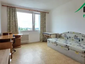 Pronájem bytu 3+1, Planá, 79 m2