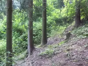 Dražba louky, Nové Hrady, 766 m2