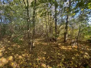 Dražba pozemku pro bydlení, Zdislava, 1043 m2