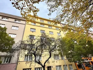 Pronájem bytu 3+kk, Praha - Žižkov, Biskupcova, 96 m2