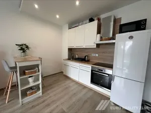 Pronájem bytu 2+kk, Zlín, Partyzánská, 50 m2