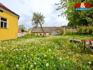Prodej rodinného domu, Černovice, Táborská, 330 m2