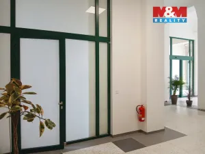 Prodej obchodního prostoru, Opava - Město, Masarykova třída, 100 m2