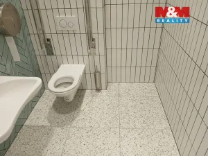 Prodej obchodního prostoru, Opava - Město, Masarykova třída, 30 m2