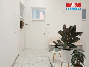 Prodej obchodního prostoru, Opava - Město, Masarykova třída, 30 m2
