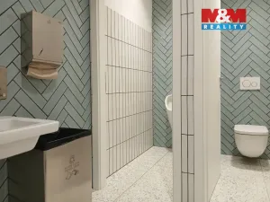 Prodej obchodního prostoru, Opava - Město, Masarykova třída, 20 m2