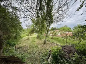 Prodej vícegeneračního domu, Olšany u Prostějova, 230 m2