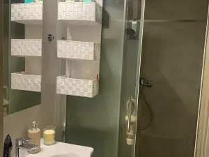 Pronájem bytu 1+kk, Brno, Křenová, 20 m2