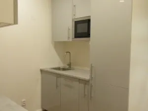 Pronájem bytu 2+kk, Praha - Žižkov, Lucemburská, 40 m2