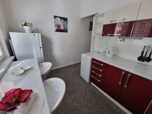 Pronájem bytu 2+1, Ostrava, Plavecká, 53 m2