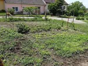 Prodej rodinného domu, Vrbice, 140 m2