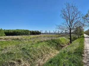 Prodej pozemku pro bydlení, Čejkovice, 916 m2