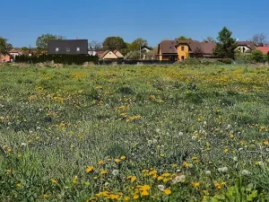 Prodej pozemku pro bydlení, Čejkovice, 916 m2
