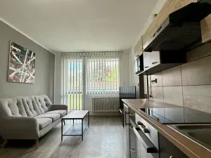 Pronájem bytu 3+kk, Slaný, Arbesova, 56 m2
