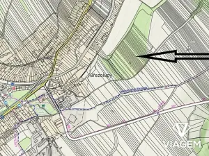 Prodej zahrady, Březolupy, 1322 m2