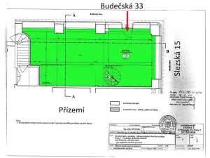 Pronájem obchodního prostoru, Praha - Vinohrady, Budečská, 117 m2