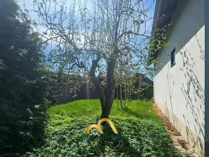 Prodej chalupy, Veliny, 72 m2