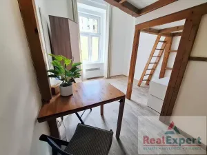 Pronájem bytu 1+kk, Praha - Nusle, Mečislavova, 20 m2