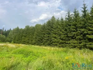 Prodej lesa, Stařeč, Horní, 15237 m2