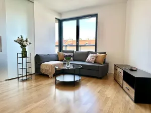 Pronájem bytu 2+kk, Praha - Žižkov, Krásova, 38 m2