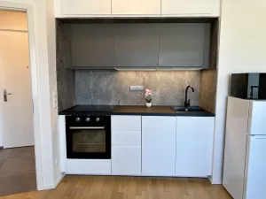 Pronájem bytu 2+kk, Praha - Žižkov, Krásova, 38 m2