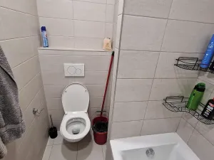 Pronájem bytu 2+1, Praha - Žižkov, K lučinám, 51 m2