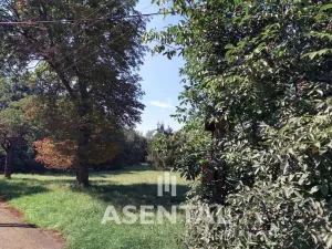 Prodej pozemku, Ostrava - Radvanice, Na Hrázkách, 12371 m2