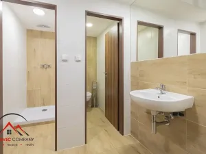 Pronájem bytu 2+1, Ostrava, Cihelní, 55 m2