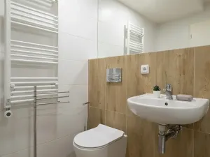Pronájem bytu 1+kk, Ostrava, Cihelní, 19 m2