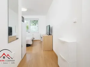 Pronájem bytu 1+kk, Ostrava, Cihelní, 19 m2