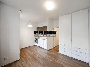 Pronájem bytu 1+kk, Praha - Vinohrady, Lucemburská, 30 m2